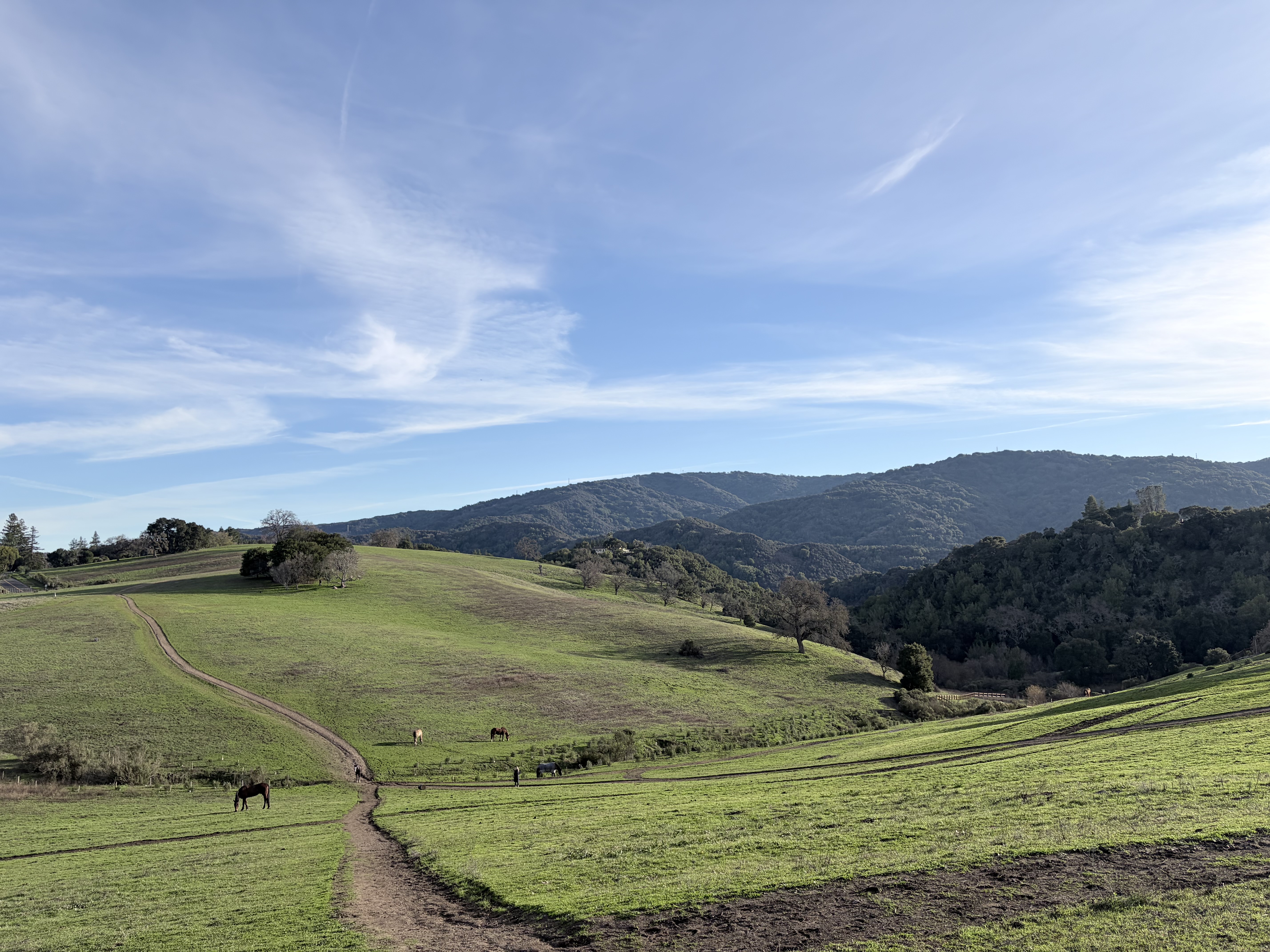 走進山，走進平凡